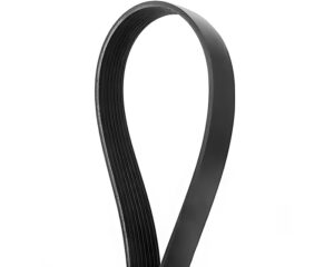 Freightliner® 80.7″ Long, 1.09″ Top Width, 8-Rib Poly V-Belt, EPDM (01-35643-051)