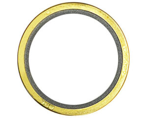 Cummins® OEM Thermostat Seal (186780)