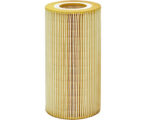 Paccar® Oil Filter Element (1948921PE)