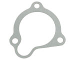 Cummins® Starter Gasket (206395)