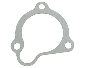 Cummins® Starter Gasket (206395)