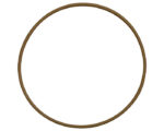 Detroit Diesel® Crankshaft Front Oil Seal (23503769)