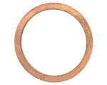 Detroit Diesel® OEM Copper Washer (23513768)