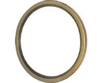 Double Lip Seal (260X300X20DL)