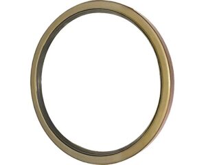 Double Lip Seal (260X300X20DL)