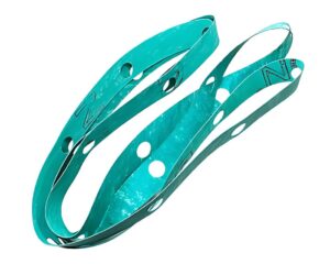 SAE Flywheel Gasket (300134C)