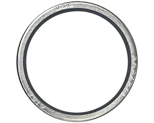 Cummins® OEM Thermostat Seal (3627961)