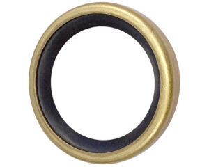 Cummins® OEM Thermostat Seal (4095526)