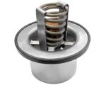 Cummins® OEM Thermostat (4318947)