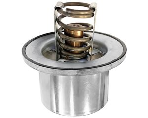 Cummins® OEM Thermostat (4318948)