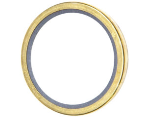 Detroit Diesel® Thermostat Seal (5132155)
