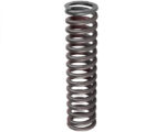 Detroit Diesel® OEM Oil Pump Spring (5155765)