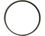 Navistar International® King Pin – Oil Seal (549835C1)