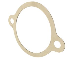 Navistar International® Power Steering Mounting – Pump Gasket (591597C2)