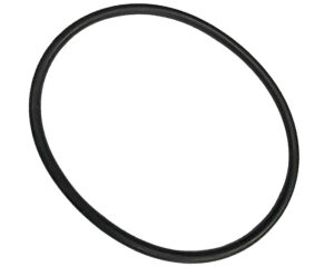 Allison Transmission® Seal Ring (6772373)