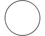 CAT® 6.484" I.D, FKM / Fluoro 75A O-Ring (6V-7681)