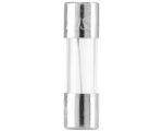 Eaton® Bussmann 250V/2A, Fast-Acting Glass Tube, Cartridge Fuse (AGC-2)
