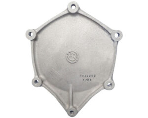 Detroit Diesel® Access Cover (8929099)