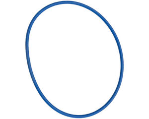 Detroit Diesel® OEM Fuel Pump – Seal Ring (08929253)