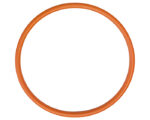 Detroit Diesel® S50/S60 Oil Cooler Housing Seal Ring (08929289)