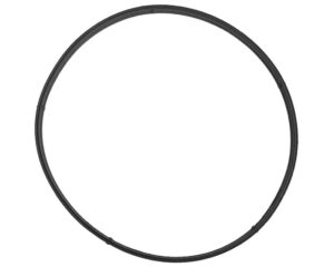 Detroit Diesel® OEM Thermostat Seal (A4722030080)