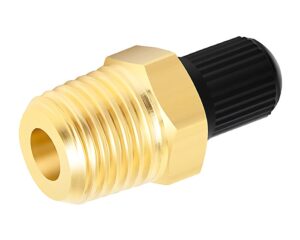 1/4″ Male Pipe, Brass Air Tank /Tire Valve, Schrader Style, Complete with Black Cap (BTV-B)
