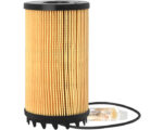 Fleetguard® Fuel/Water Separator Cartridge Filter (FS20173)