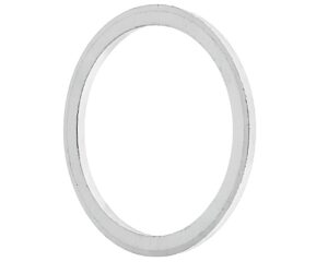 Detroit Diesel® OEM Seal Ring (N000000001085)