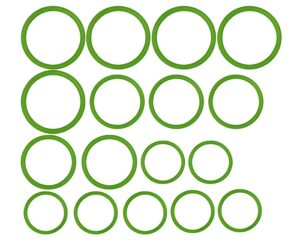 Alliance Parts® A/C O-Ring Kit (N83312125)