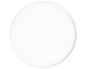 2" x 1/4" Orifice Plate (OP-5002INX.250)