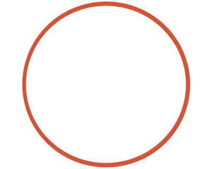 Detroit Diesel® Water Pump Cover Seal (23512048)