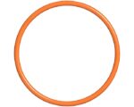 MTU® O-Ring (700429175000)