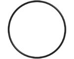 Parker® Filter Housing Hydraulic O-Ring (568-239-70D)