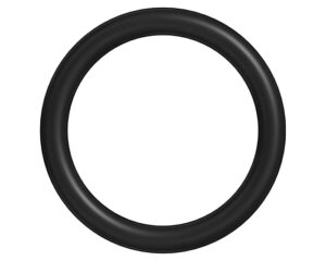 Detroit Diesel® Blower Plate Seal Ring (5101419)