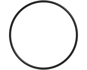 Cummins® OEM O-Ring Seal (4095951)