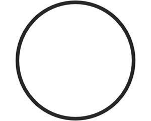 O-Ring, For P166254 (2153A)