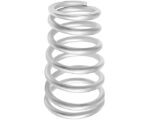 Rexroth/Aventics Cylinder Spring (R431005810)