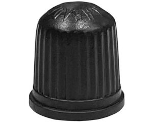 Truflate Plastic Valve Cap (T2F-3850550)