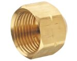 1/2″ NPT, Female Cap Brass Pipe Fitting (108-D)