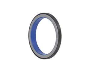 Oil Seals