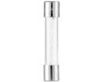 Eaton® Bussmann 250V/10A, Fast-Acting Glass Tube, Cartridge Fuse (AGC-10)
