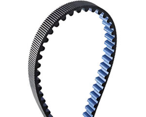 Gates® 37mm Width, 190 Teeth, GT Type, Carbon Poly Chain Belt (14MGT-2660-37)