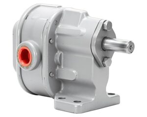 BSM Pump Model #2 Rotary Gear Pump, Foot Mounted w/o Relief Valve (713-2-1)
