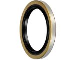3.88″ O.D x 2.875" I.D – Oil Seal (DX10-051)