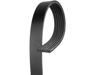 Cummins® 46.5″ Length, 0.82″ Top Width, Alternator Drive V-Ribbed Belt (3101314)