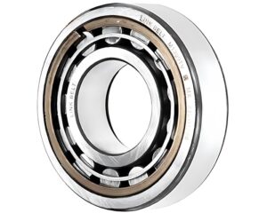 Allison Transmission® OEM Cylindrical Roller Bearing Assembly (23041452)