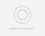 Allison Transmission® Stator Back Plate (29544520)