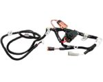 Cummins® ISX/QSX Wiring Harness (4973487)