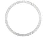 Gunite® ABS Tone Ring, For Spoke Wheel (W1358)