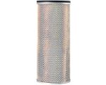 Fleetguard® Air Filter, Secondary (AF25545)
